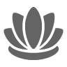 lotus, therapy, meditation, relax